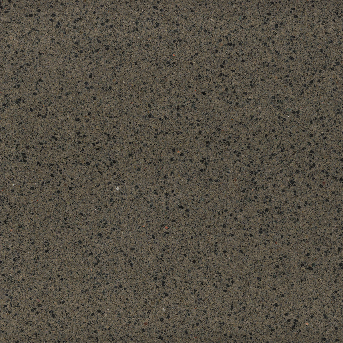 1665 Taupe by TREND-GROUP | Souqify