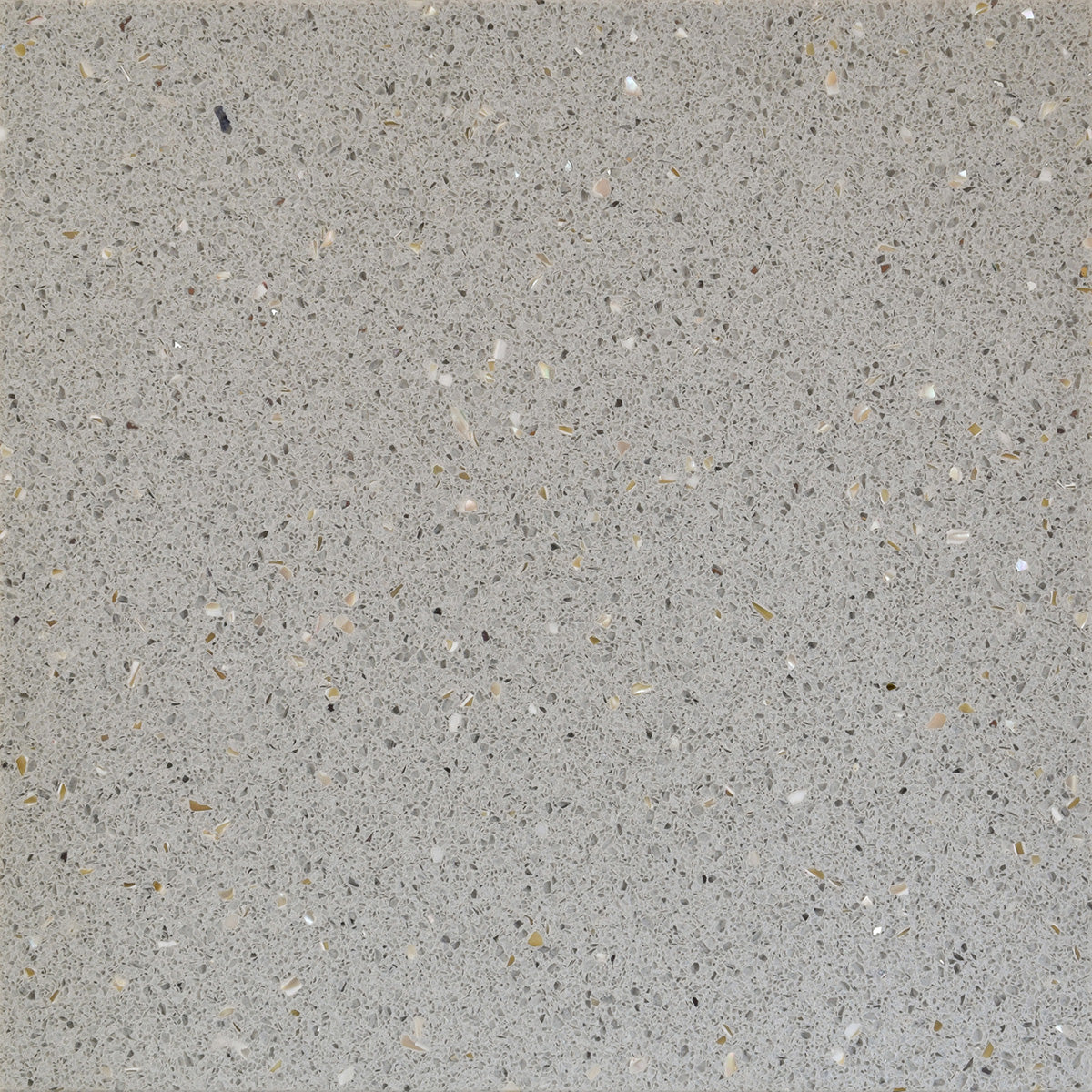 1669 Royal Grey by TREND-GROUP | Souqify