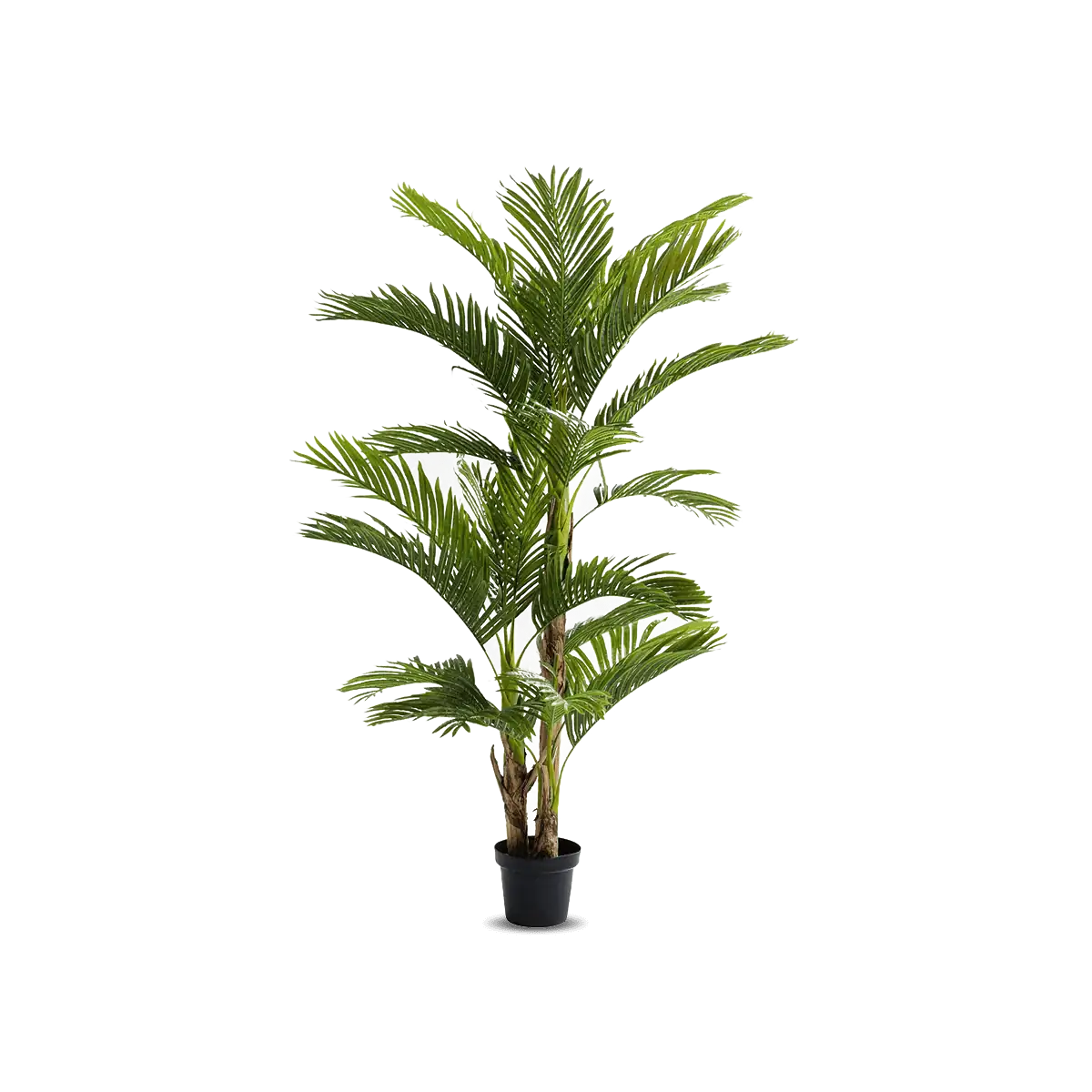 Potted artificial palm tree on a white background