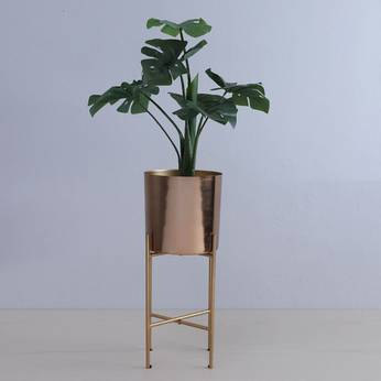 Potted plant on a gold stand against a light blue background