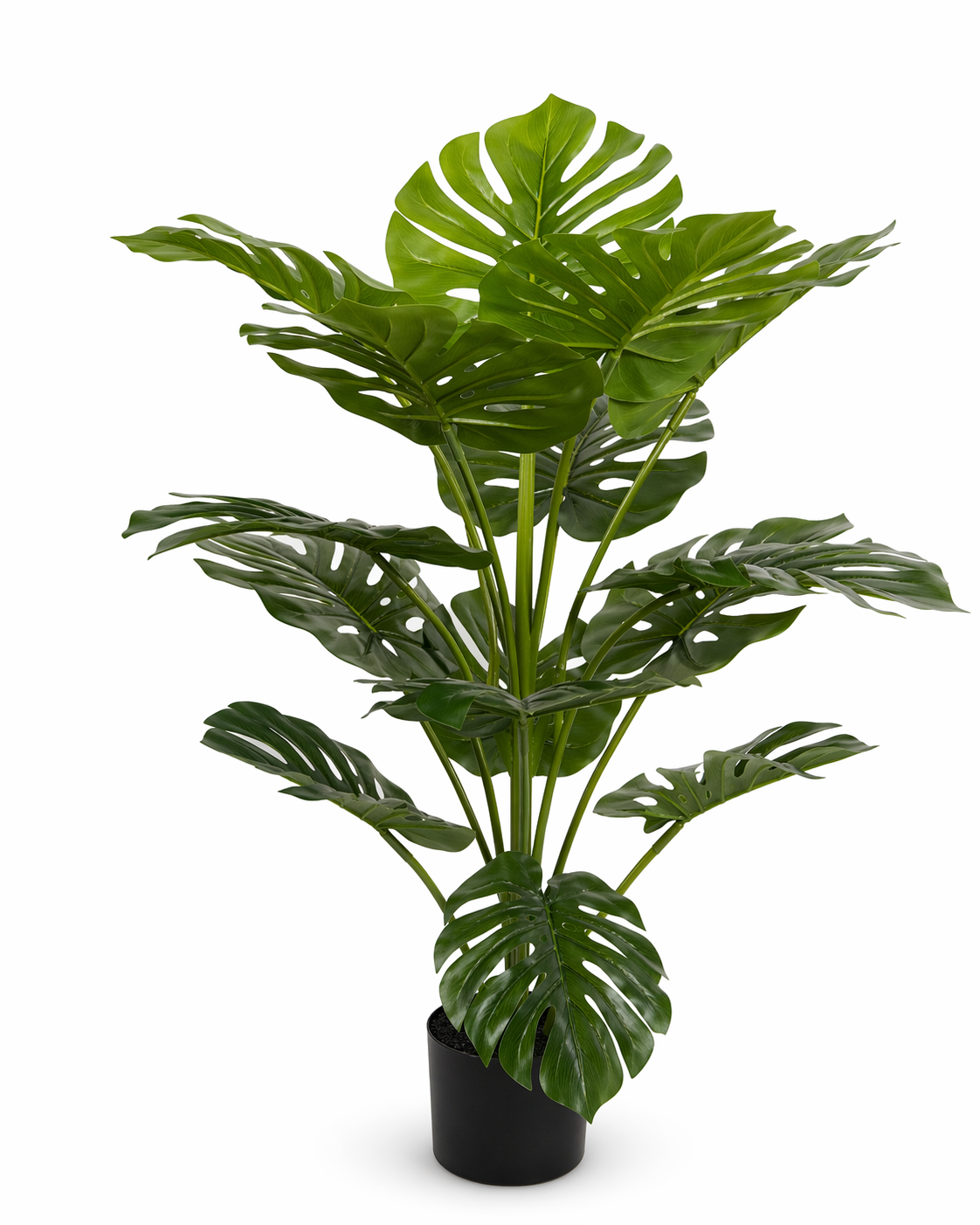 MO90 product image