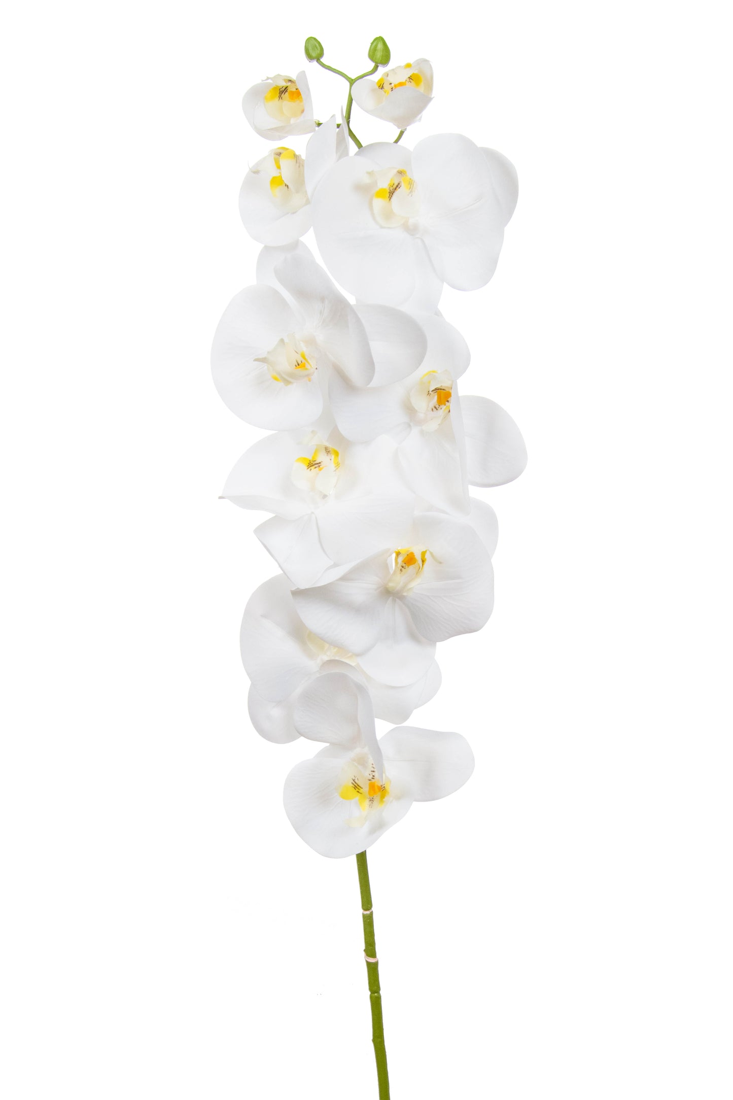 SF Orchid Phal White Real Touch GB 115cm- TL3851