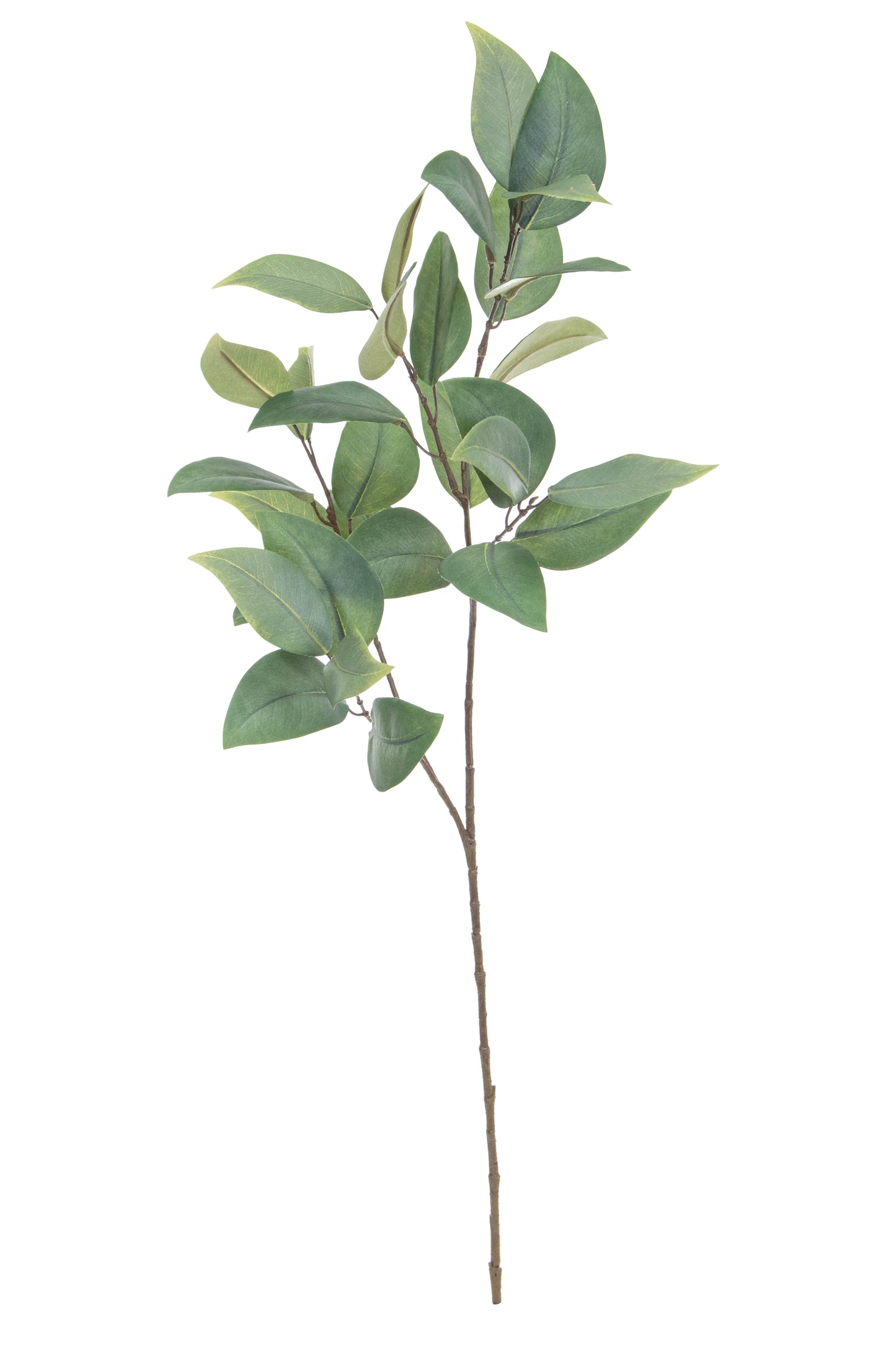Foliage Eucalyptus Leaf Spray GB 80cm- TL3984