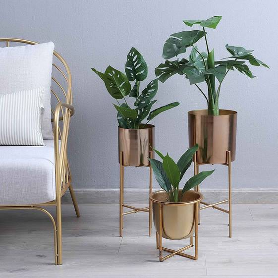 Three potted plants on gold stands in a room with a chair and light gray wall.