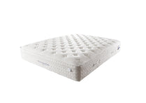 Viscopocket Anka Set by EwosHome | Souqify