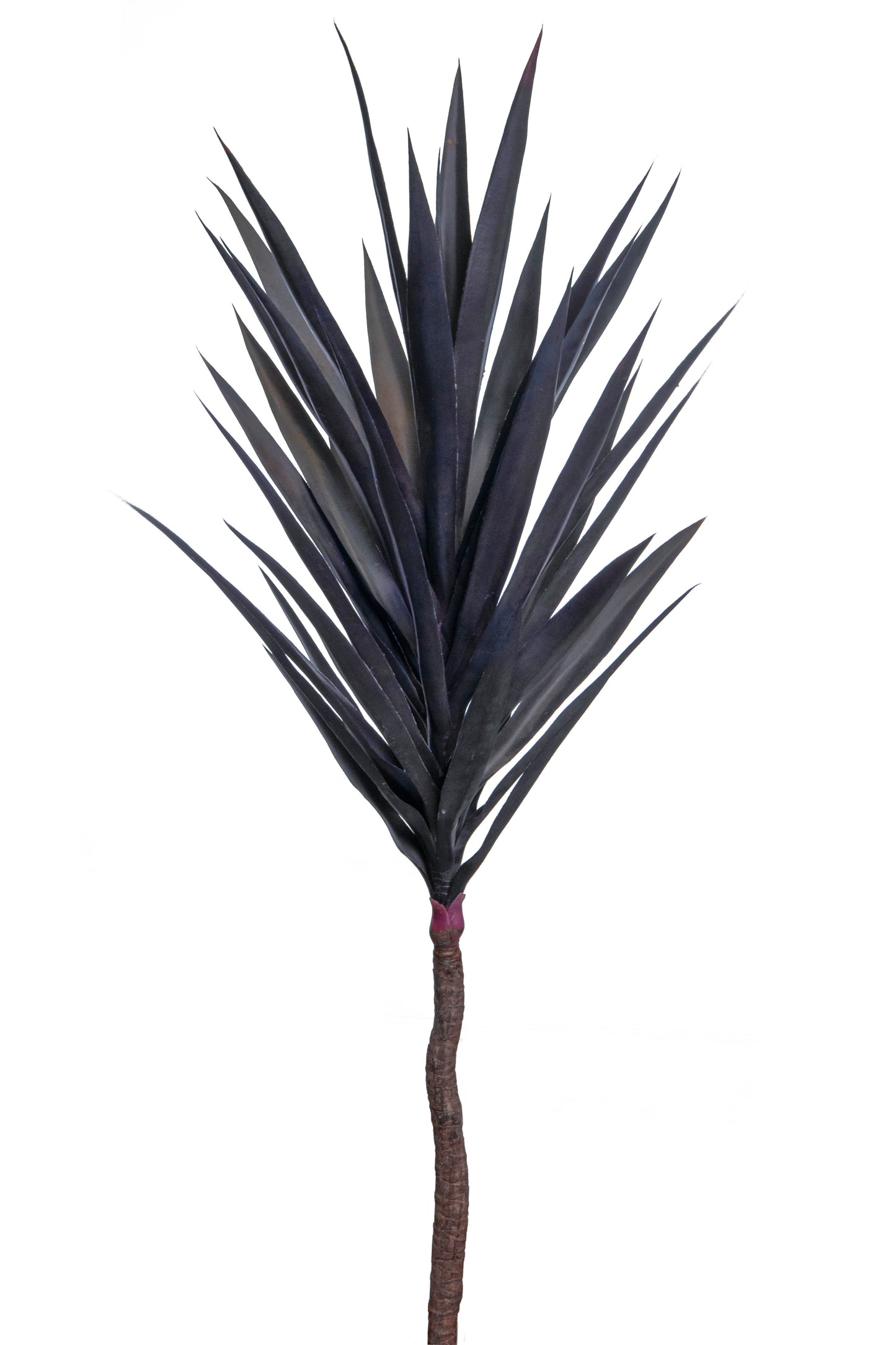 Yucca Stem - 120cm by Foliages | Souqify