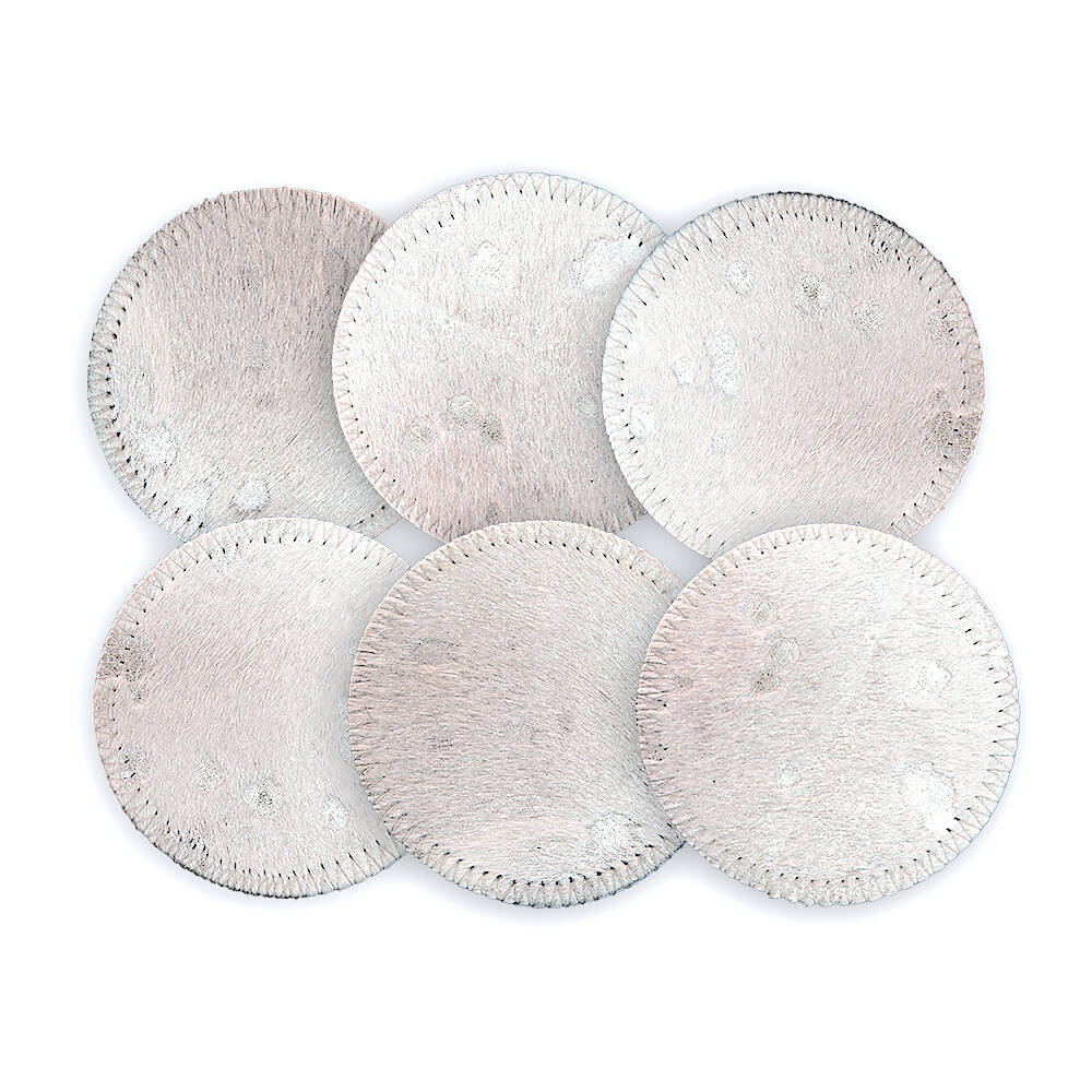 Coaster Silver on White