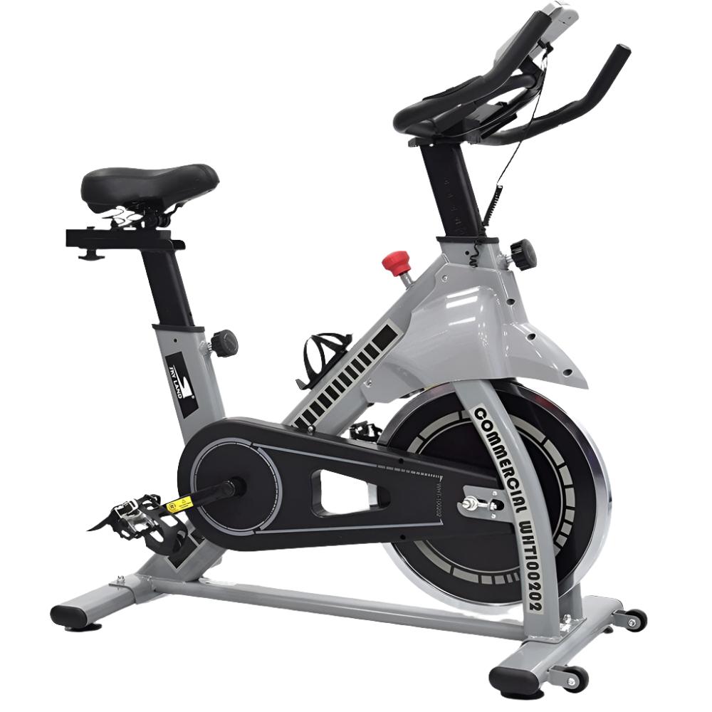 Skyland Fitness Exercise Spin Bike For Home, EM-1560