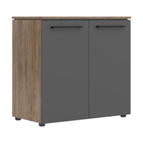 EXECUTIVE LOW HEIGHT CABINET, MADE IN E1 LAMINATE CHIPBOARD, WITH WOODEN SWING DOORS