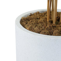 White planter with brown moss and bamboo sticks on a white background