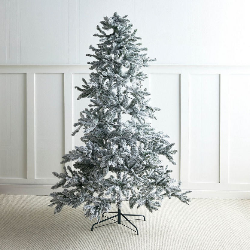 Frosted Christmas tree on a stand against a white paneled wall.