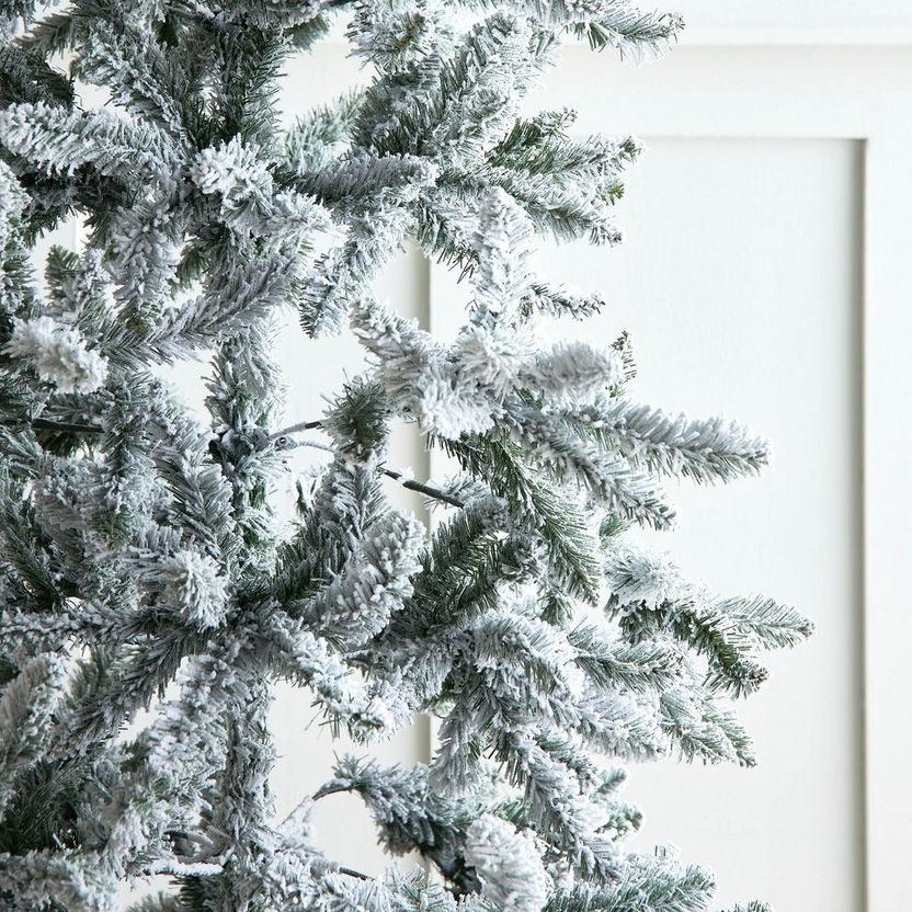 Frosted Christmas tree with a white candle against a white background
