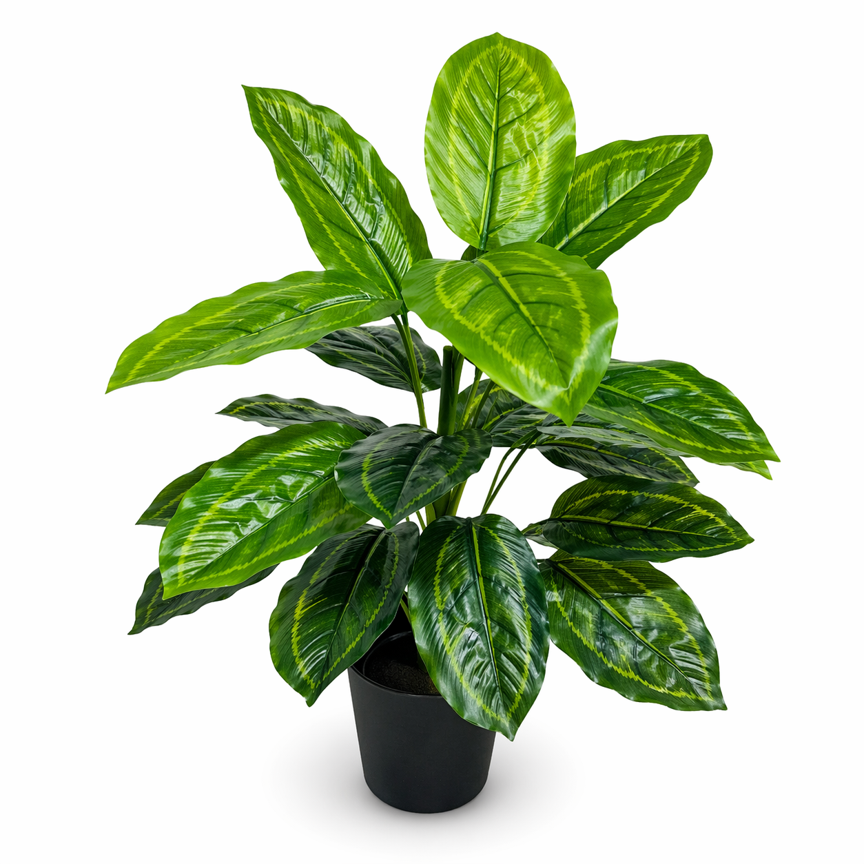 CAL45 product image