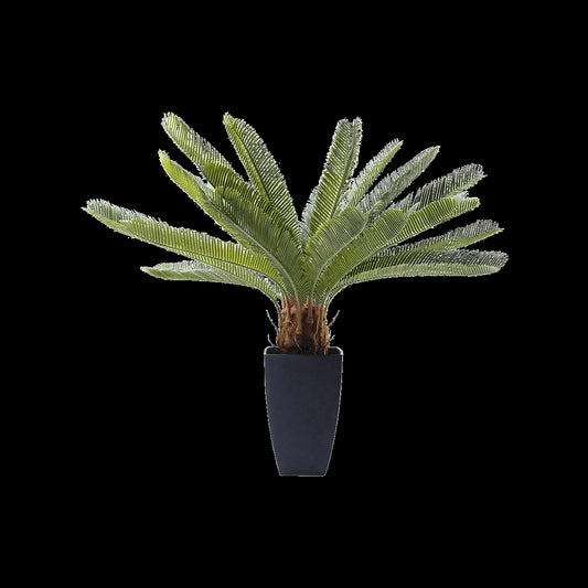 Potted plant with green leaves on a black background