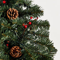 Close-up of a Christmas tree branch with pine cones and red berries on a white background