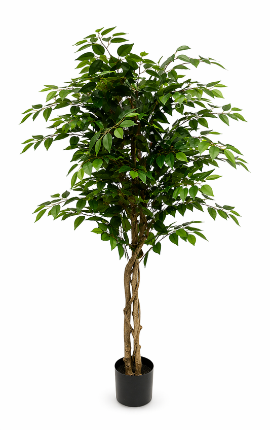 FI150 product image