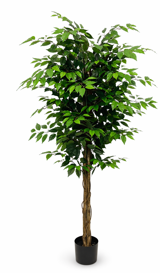 FI180-A product image