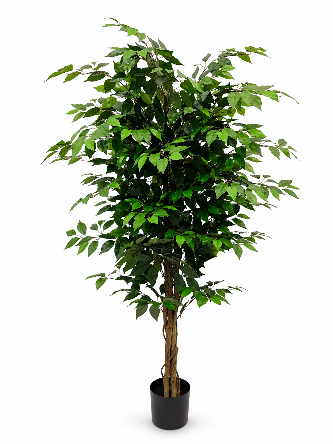 FIC180 product image