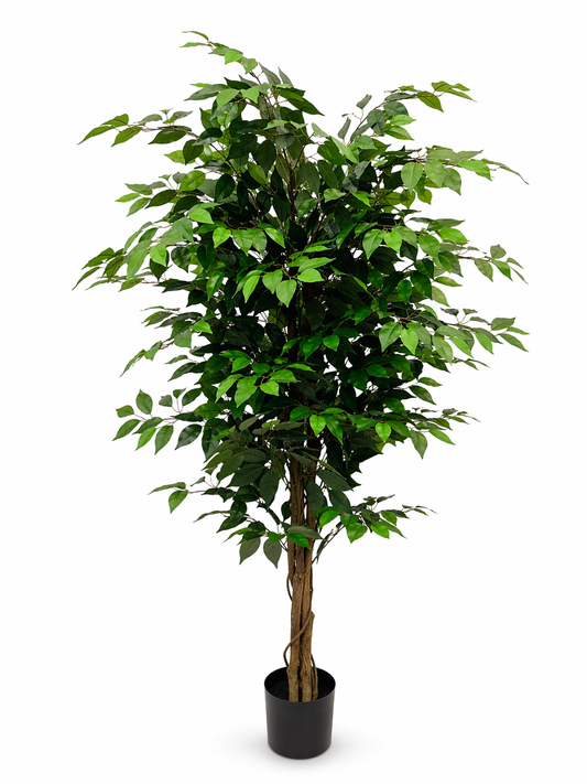 FIC180 product image