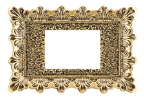 Gold Plated Brass Electric Wall Cover