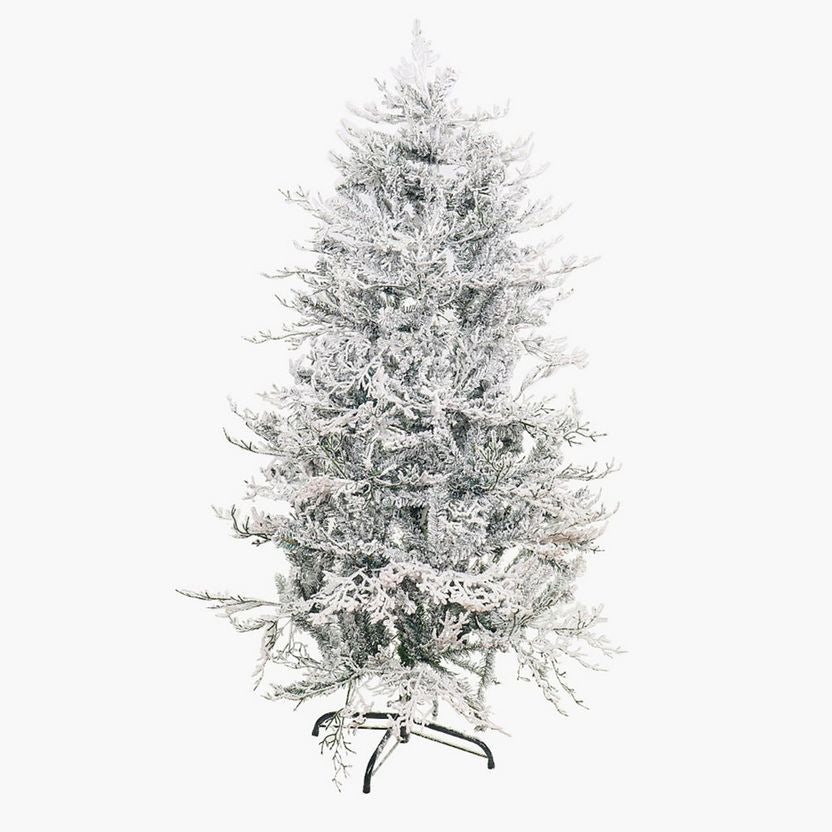 Snow-covered Christmas tree on a white background