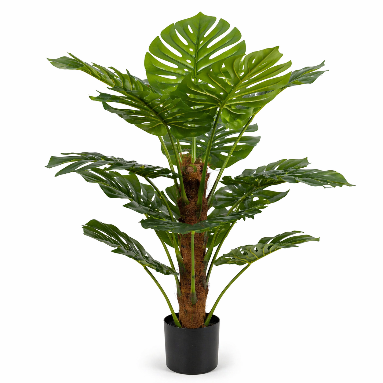 MO90-B product image