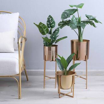 Three potted plants in gold stands on a light gray floor with a white chair in the background.