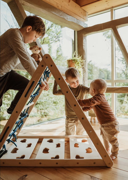 Triangle 3-in-1 Climbing Set: Clouds, Net, Bars
