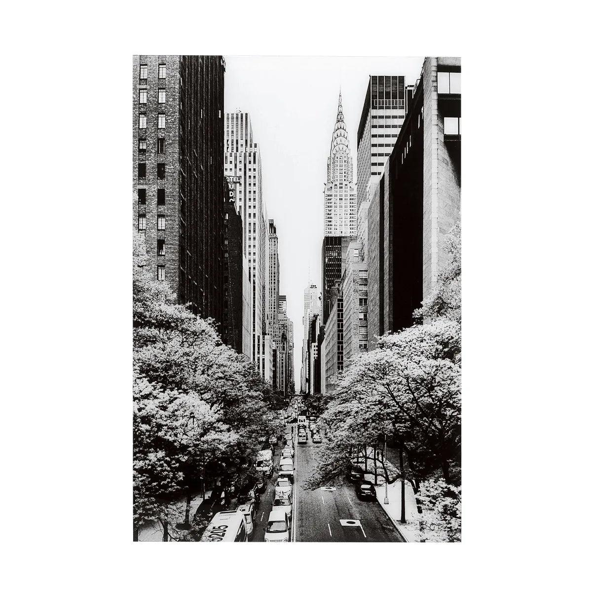 Black and white cityscape with tall buildings and trees lining a street.
