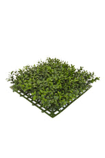 Buxus Top Panel - 25cm x 25cm