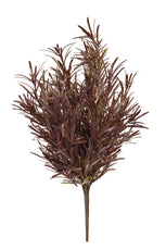 Podocarpus, Brown - 46cm