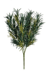 Podocarpus, Grey - 42cm