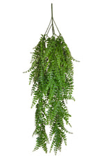 Hanging Fern Trail - 80cm