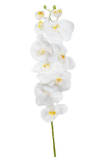 SF Orchid Phal White Real Touch GB 115cm- TL3851