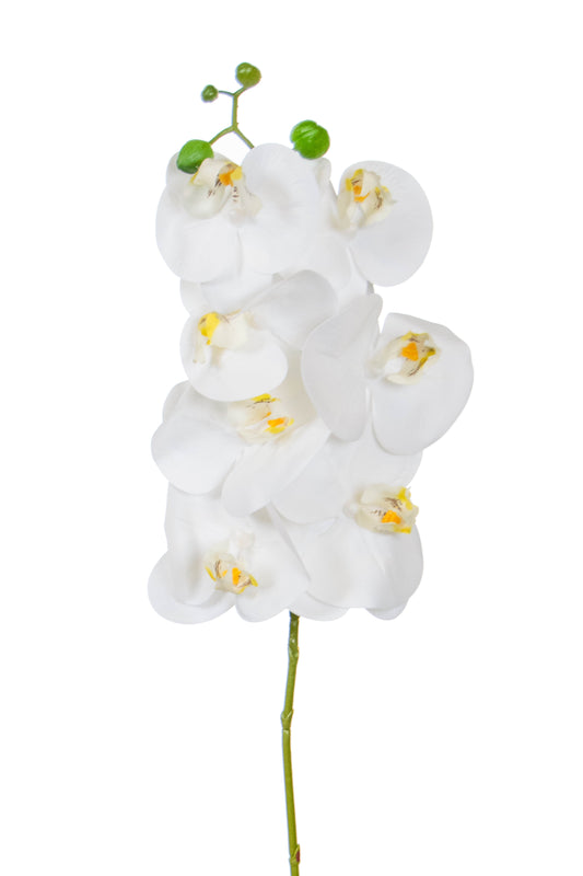 SF Orchid Phal White Real Touch GB 70cm- TL3853