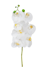 SF Orchid Phal White Real Touch GB 70cm- TL3853