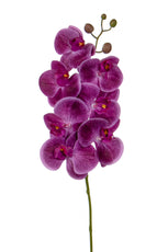 SF Orchid Phal Purple Real Touch GB 70cm- TL3855