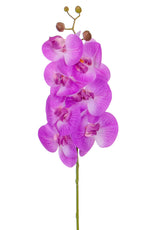 SF Orchid Phal Pink Real Touch GB 70cm- TL3857