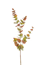 Foliage Eucalyptus Autumn Spray GB 80cm- TL3976