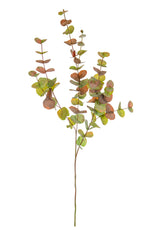 Foliage Eucalyptus Autumn Spray GB 100cm- TL3977