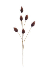 Foliage Hare Tail Brown GB 70cm- TL3980