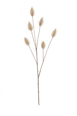 Foliage Hare Tail Beige GB 70cm- TL3981