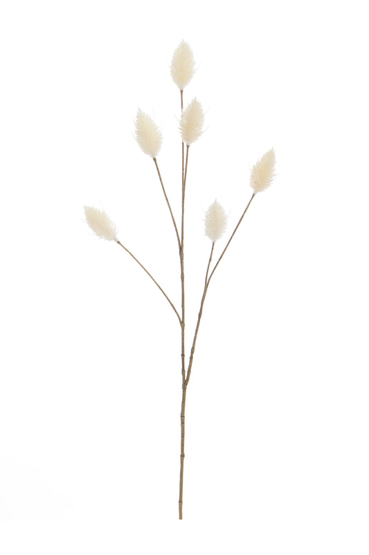 Foliage Hare Tail Cream GB 70cm- TL3982