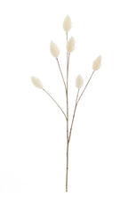 Foliage Hare Tail Cream GB 70cm- TL3982