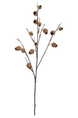 Foliage Eucalyptus Pods Brown GB 85cm- TL3983