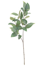 Foliage Eucalyptus Leaf Spray GB 80cm- TL3984