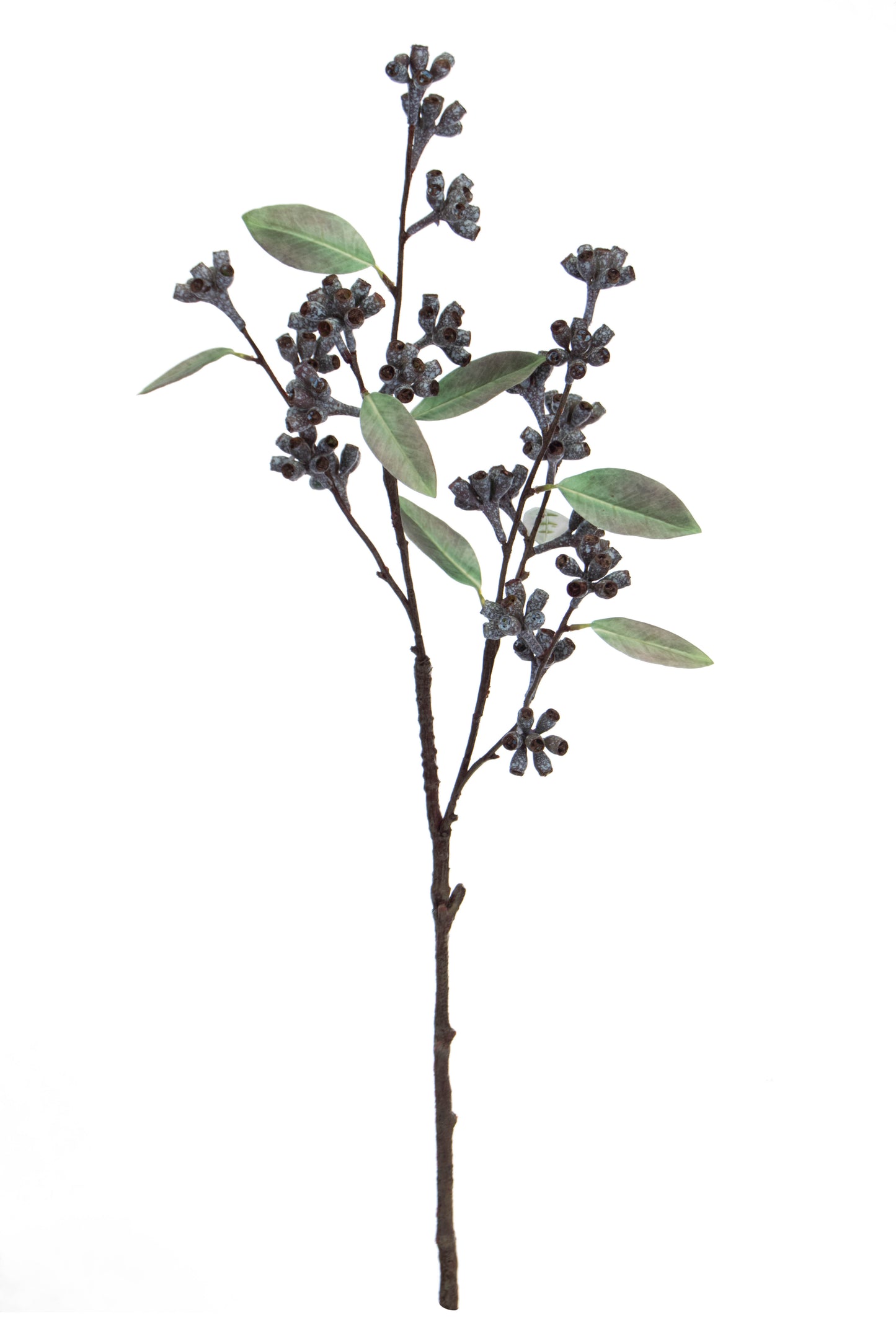 Foliage Eucalyptus Seed Pod Spray Purple GB 82cm- TL3986