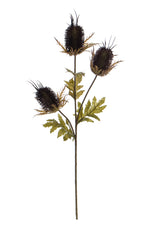 Foliage Thistle Spray Brown GB 68cm- TL3988