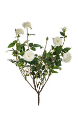 SF Rose Plant Large K White 78cm- TL7462