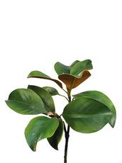 SF Leaf Magnolia IA Green 63cm- TL7481